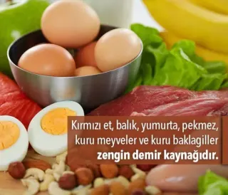 Doç. Dr. M. Ferhat Ferhatoğlu profilinde yer alan galeri fotoğrafı.