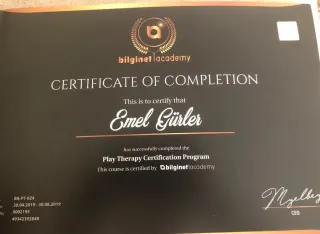 Dkt. Emel Gürler profilinde yer alan galeri fotoğrafı.