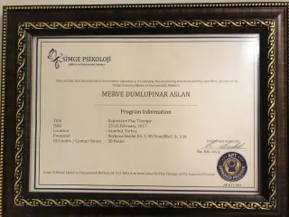 Kl. Psk. Merve D. Aslan profilinde yer alan galeri fotoğrafı.