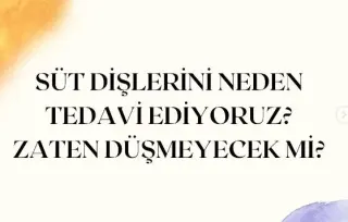 Dr. Dt. Nezate Dadakoğlu profilinde yer alan galeri fotoğrafı.