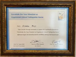 Doç. Dr. Erman Alçı profilinde yer alan galeri fotoğrafı.