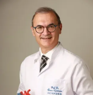 Prof. Dr. Öner Gülcan profilinde yer alan galeri fotoğrafı.