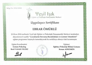 Psk. Ebrar Ömürlü profilinde yer alan galeri fotoğrafı.