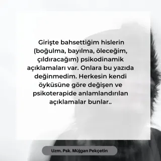 Kl. Psk. Müjgan Pekçetin profilinde yer alan galeri fotoğrafı.