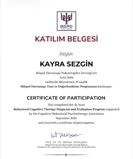 Psk. Kayra Sezgin profilinde yer alan galeri fotoğrafı.