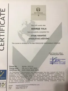 Psk. Bernur Tola profilinde yer alan galeri fotoğrafı.