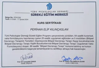 Psk. Elif Kılınçaslan profilinde yer alan galeri fotoğrafı.