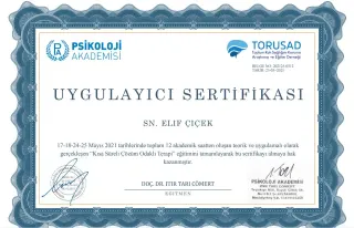 Psk. Elif Çiçek profilinde yer alan galeri fotoğrafı.