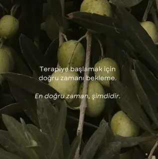 Psk. Derya Yüzey profilinde yer alan galeri fotoğrafı.