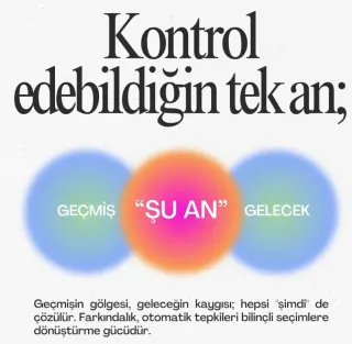 Psk. Ayşenur Sezer profilinde yer alan galeri fotoğrafı.