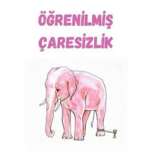 Psk. Elif Cor profilinde yer alan galeri fotoğrafı.