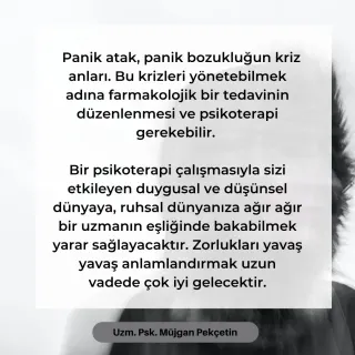 Kl. Psk. Müjgan Pekçetin profilinde yer alan galeri fotoğrafı.