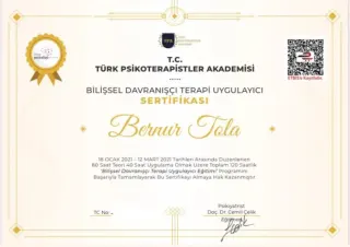 Psk. Bernur Tola profilinde yer alan galeri fotoğrafı.