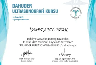 Uzm. Dr. İsmet Anıl Berk profilinde yer alan galeri fotoğrafı.