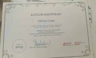 Psk. Fahriye Cengiz profilinde yer alan galeri fotoğrafı.