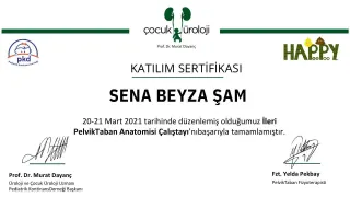 Fzt. Sena Beyza Şam profilinde yer alan galeri fotoğrafı.