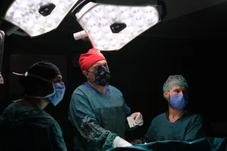 Doç. Dr. İbrahim Sakçak profilinde yer alan galeri fotoğrafı.