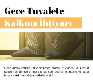 Prof. Dr. Hakkı Perk profilinde yer alan galeri fotoğrafı.