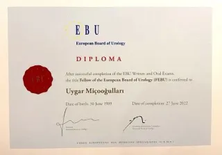 Doç. Dr. Uygar Miçooğulları profilinde yer alan galeri fotoğrafı.