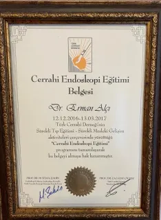 Doç. Dr. Erman Alçı profilinde yer alan galeri fotoğrafı.