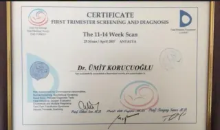 Prof. Dr. Ümit Korucuoğlu profilinde yer alan galeri fotoğrafı.