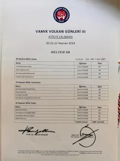 Kl. Psk. Meltem Bilgici profilinde yer alan galeri fotoğrafı.
