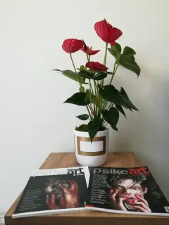 Psk. Halime Oran Keskin profilinde yer alan galeri fotoğrafı.