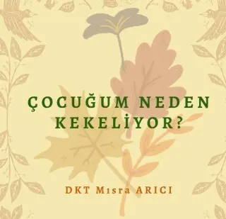 Dkt. Mısra Arıcı profilinde yer alan galeri fotoğrafı.