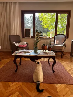 Psk. Feyza Uzun profilinde yer alan galeri fotoğrafı.