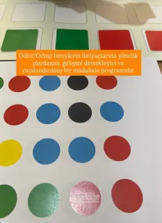 Gülşah Atalay profilinde yer alan galeri fotoğrafı.