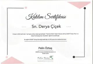 Psk. Derya Çiçek profilinde yer alan galeri fotoğrafı.