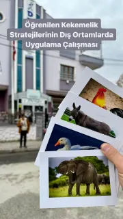 Dkt. Yasin Yavuz Özçelik profilinde yer alan galeri fotoğrafı.