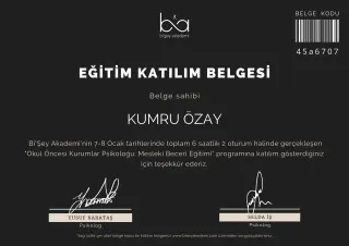 Psk. Kumru Özay profilinde yer alan galeri fotoğrafı.
