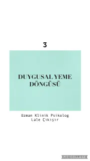 Kl. Psk. Lale Çıkışır profilinde yer alan galeri fotoğrafı.