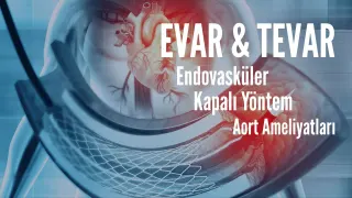 Prof. Dr. Tayfun Aybek profilinde yer alan galeri fotoğrafı.