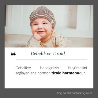Prof. Dr. Ferit Kerim Küçükler profilinde yer alan galeri fotoğrafı.