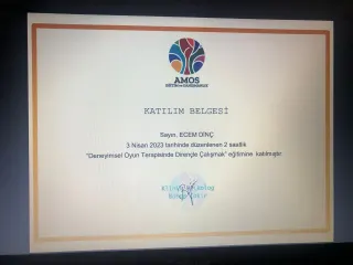 Kl. Psk. Ecem Dinç profilinde yer alan galeri fotoğrafı.