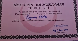 Psk. Seyran Kaya profilinde yer alan galeri fotoğrafı.
