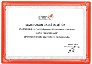 Kl. Psk. Hasan Basri Demiröz profilinde yer alan galeri fotoğrafı.