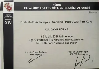 Uzm. Fzt. Gaye Torna profilinde yer alan galeri fotoğrafı.
