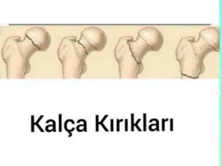 Prof. Dr. Ümit Tuhanioğlu profilinde yer alan galeri fotoğrafı.