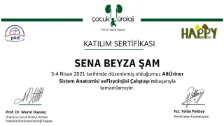Fzt. Sena Beyza Şam profilinde yer alan galeri fotoğrafı.