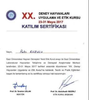 Doç. Dr. Pelin Kuzucu profilinde yer alan galeri fotoğrafı.