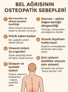 Fzt. Dicle Karatepe profilinde yer alan galeri fotoğrafı.