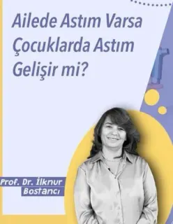 Prof. Dr. İlknur Bostancı profilinde yer alan galeri fotoğrafı.