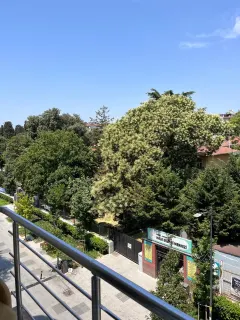 Dyt. Emirhan Yavuz profilinde yer alan galeri fotoğrafı.