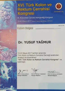 Prof. Dr. Yusuf Yağmur profilinde yer alan galeri fotoğrafı.