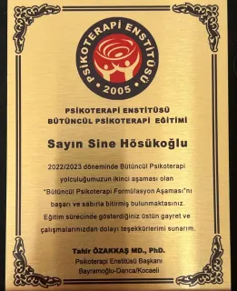 Psk. Sine Hösükoğlu profilinde yer alan galeri fotoğrafı.