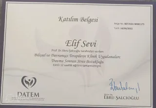 Psk. Elif Sevi Adıgüzel profilinde yer alan galeri fotoğrafı.