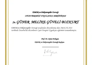 Uzm. Dr. Melike Güveli Bozkurt profilinde yer alan galeri fotoğrafı.